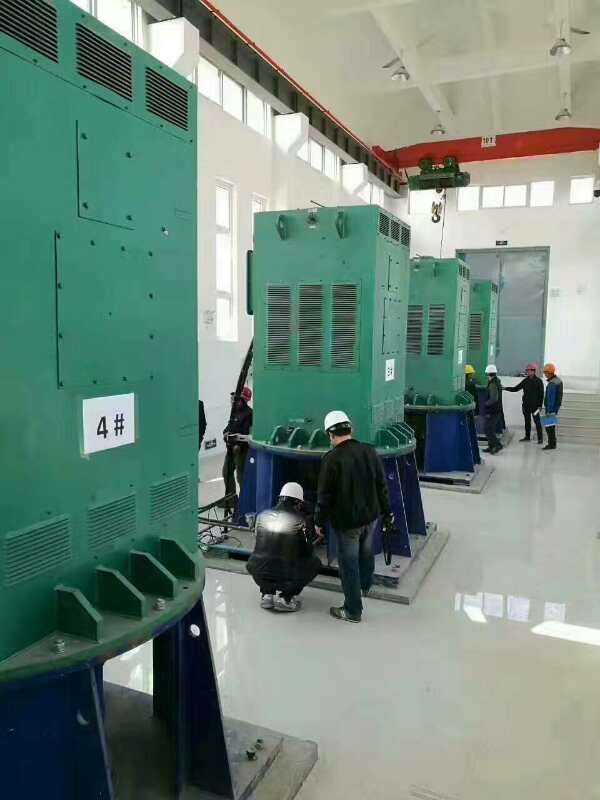 惠民某污水处理厂使用我厂的立式高压电机安装现场